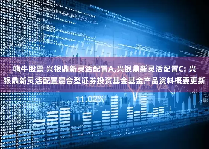 嗨牛股票 兴银鼎新灵活配置A,兴银鼎新灵活配置C: 兴银鼎新灵活配置混合型证券投资基金基金产品资料概要更新